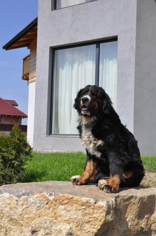 Villa Swiss Sacele Exterior photo